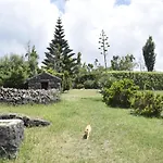 Séjour à la ferme Quinta Da Meia Eira Horta (Azores)