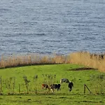 Quinta Da Meia Eira Séjour à la ferme *