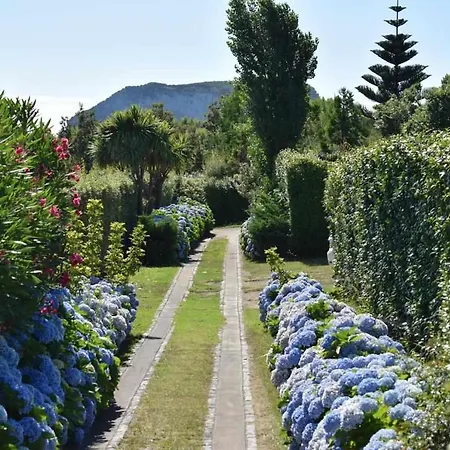 Quinta Da Meia Eira Κατάλυμα σε φάρμα Horta (Azores)