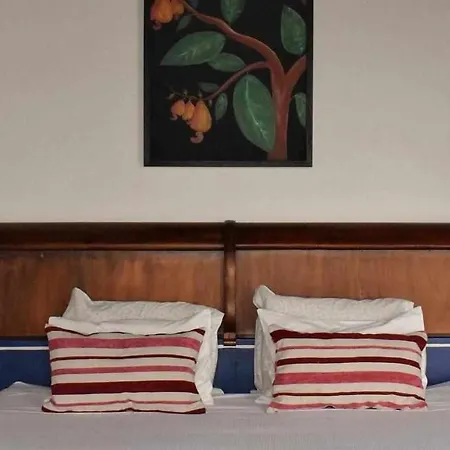 Quinta Da Meia Eira مزرعة للإقامة *