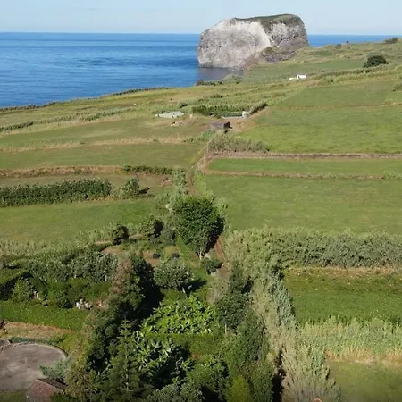 Quinta Da Meia Eira הורטה