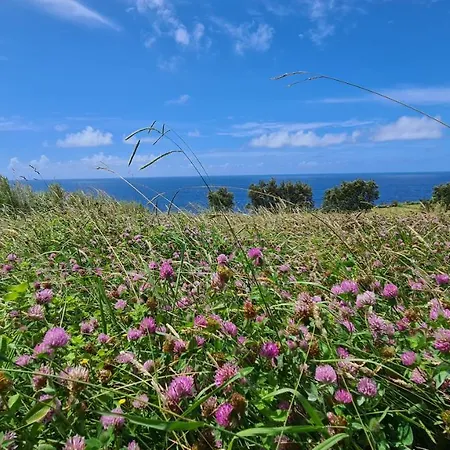 Quinta Da Meia Eira בית חווה הורטה