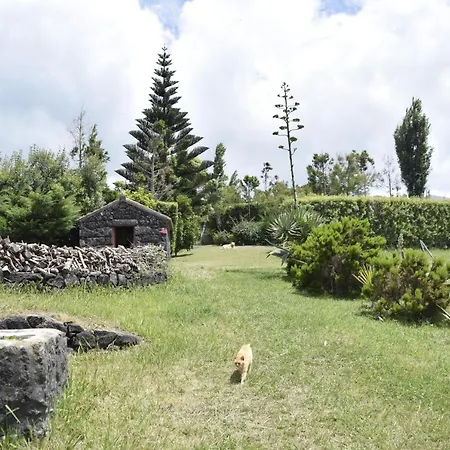 Фермерский дом Quinta Da Meia Eira Castelo Branco (Faial)