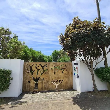 Quinta Da Meia Eira * Castelo Branco (Faial)
