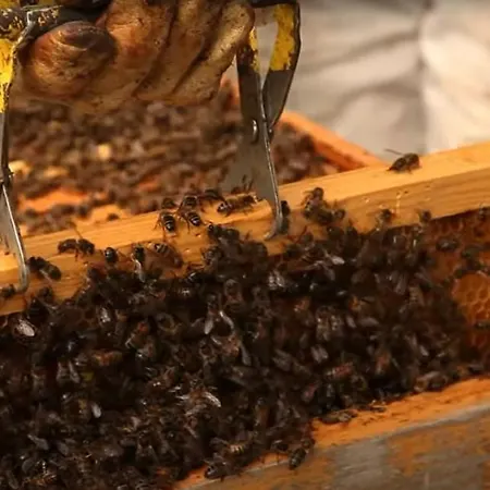 Quinta Da Meia Eira *