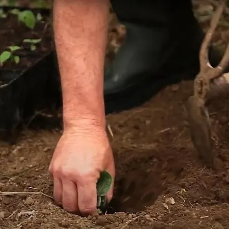 בית חווה Quinta Da Meia Eira הורטה