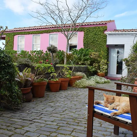 팜스테이 Quinta Da Meia Eira *
