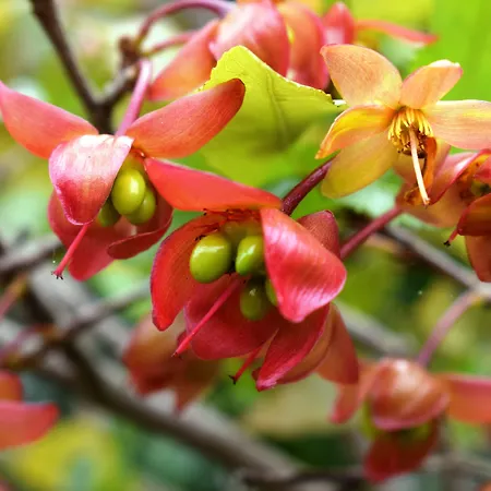 בית חווה Quinta Da Meia Eira *