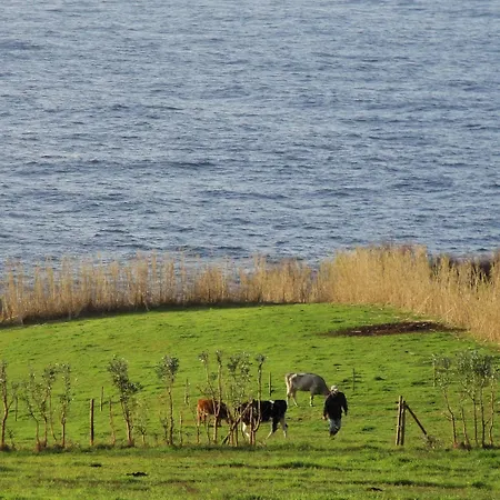 Quinta Da Meia Eira Bauernhof *