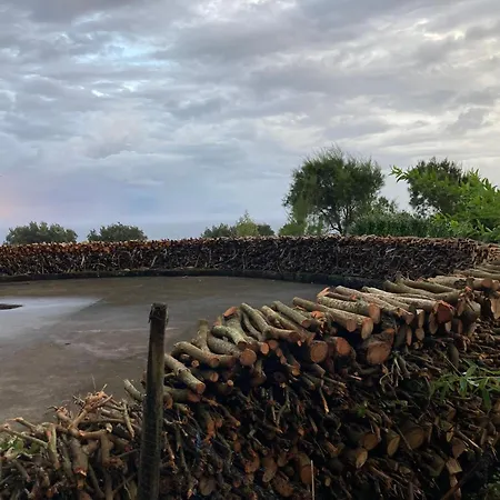 Quinta Da Meia Eira * Horta (Azores)