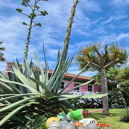 Quinta Da Meia Eira