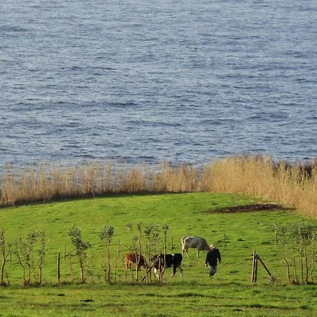 Quinta Da Meia Eira Фермерский дом Castelo Branco (Faial)