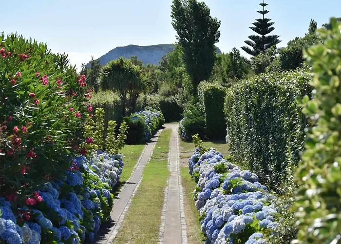 Quinta Da Meia Eira Farmház Horta