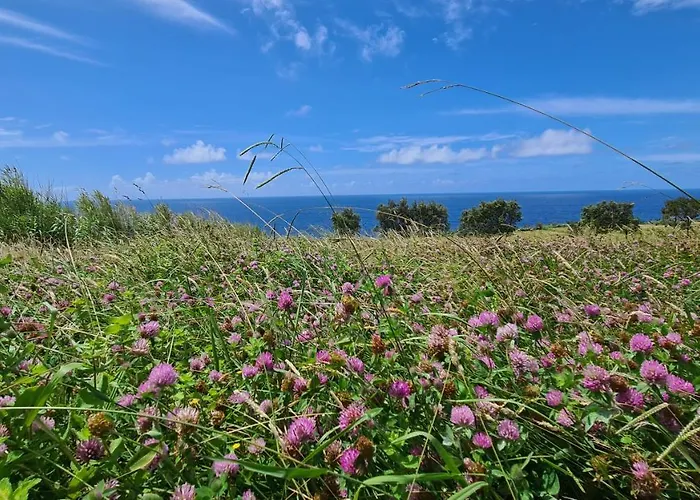 Quinta Da Meia Eira Bauernhof Horta (Azores)