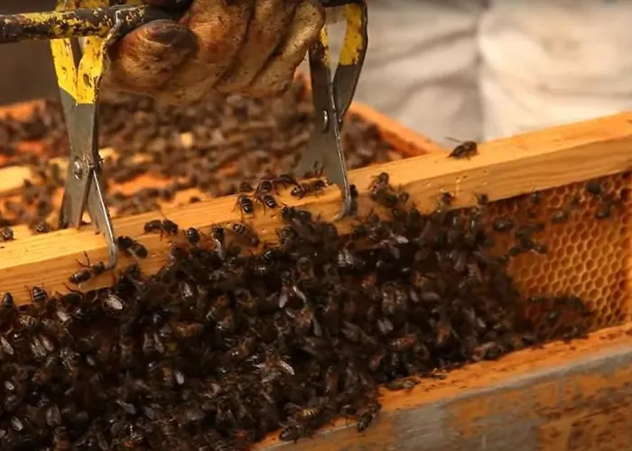 Quinta Da Meia Eira *