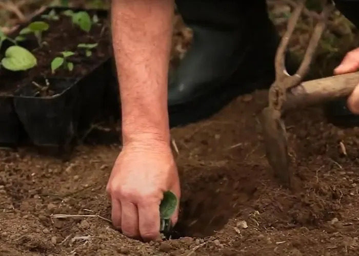 Farmház Quinta Da Meia Eira Horta