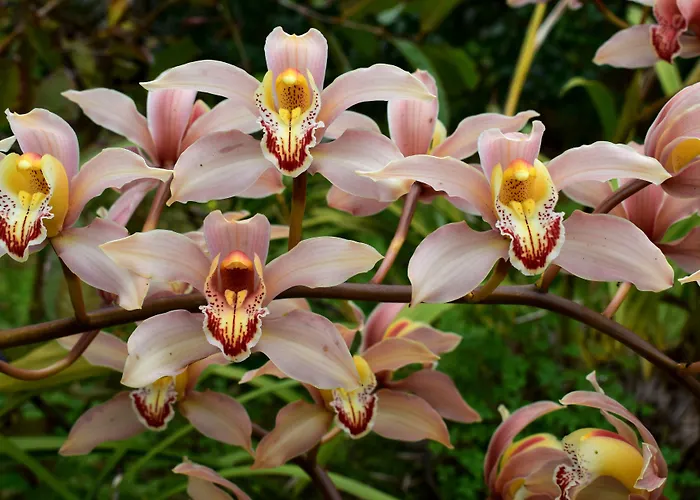 Alojamento de Turismo Rural Quinta Da Meia Eira *