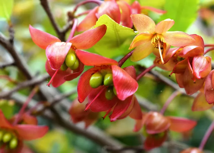 Alojamento de Turismo Rural Quinta Da Meia Eira *