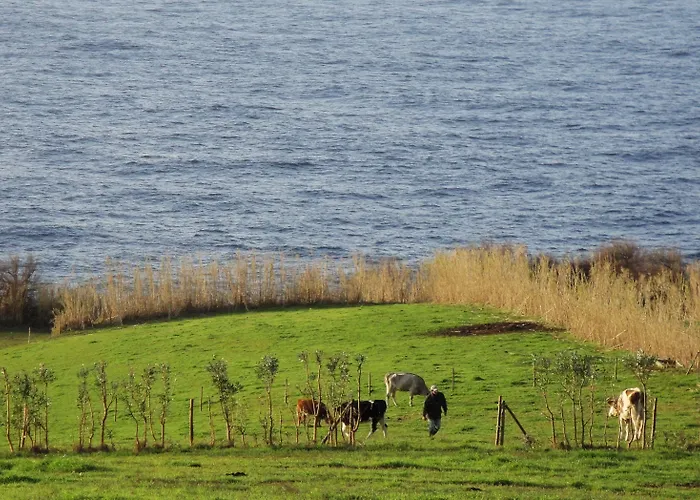Quinta Da Meia Eira Farmház *